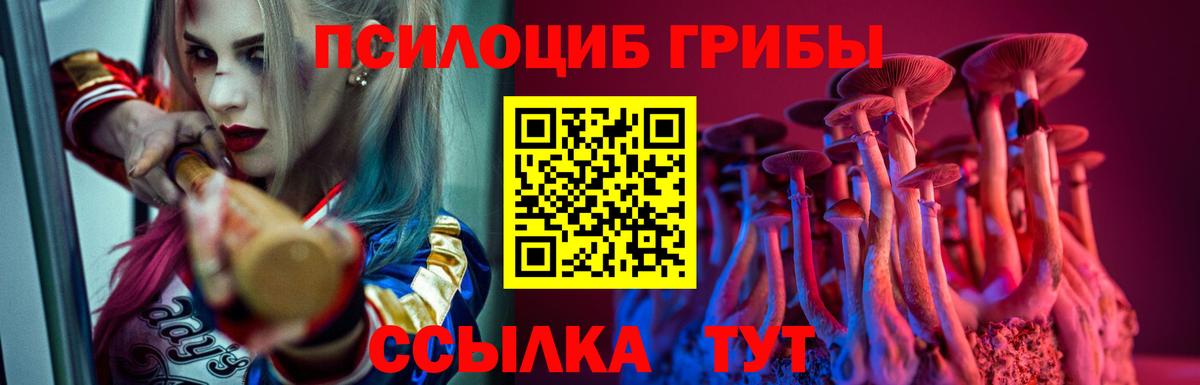 Псилоцибиновые грибы Magic Shrooms  где можно купить   Унеча  Вход с VPN 